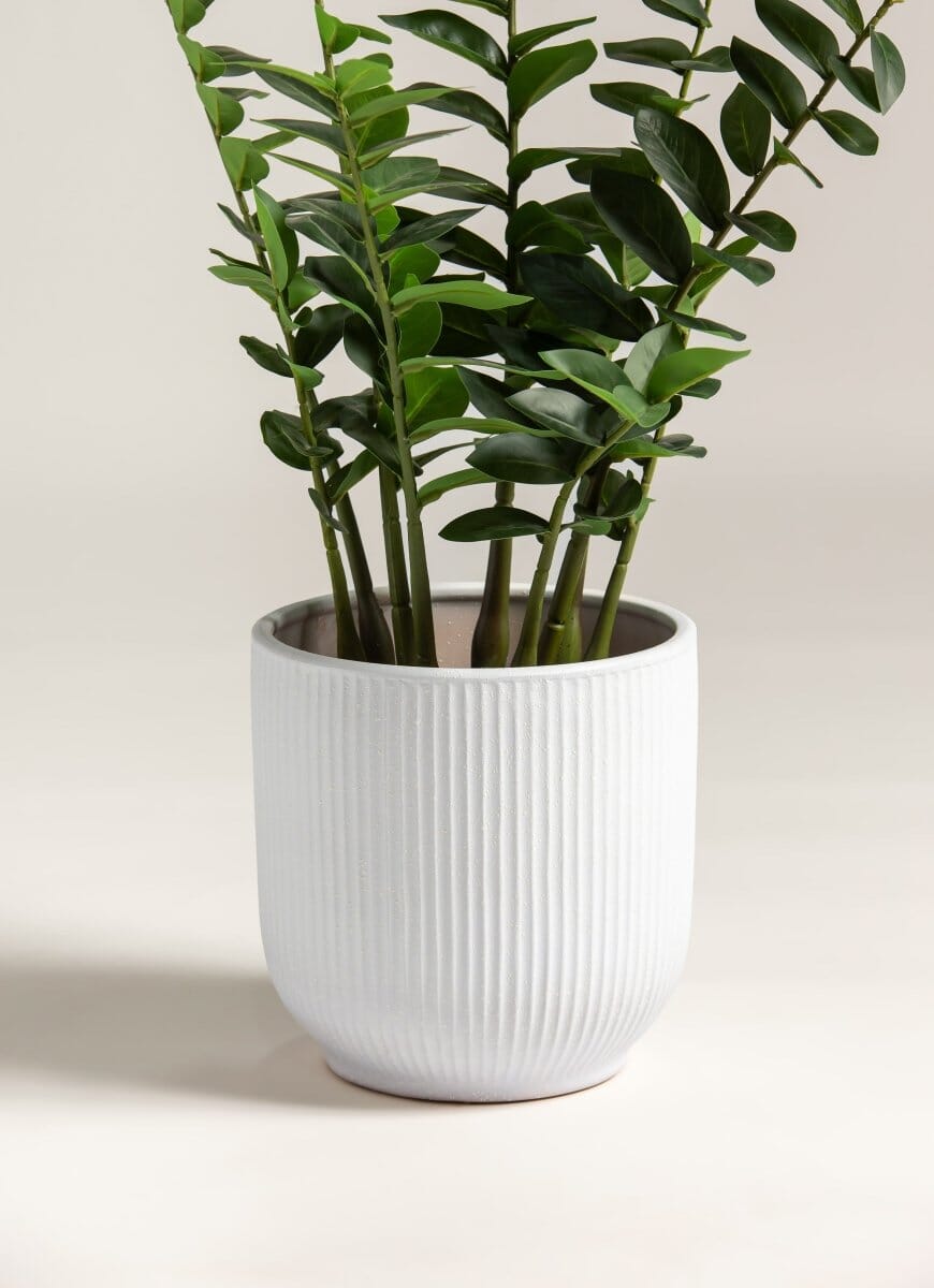 Zamioculcas Zamiifolia Artificial Plant (Pot not included) FLO 