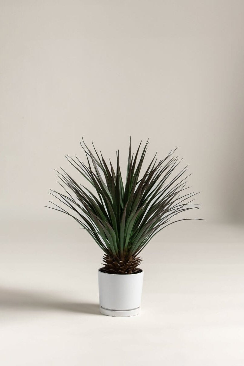 Yucca Gloriosa Artificial Plant