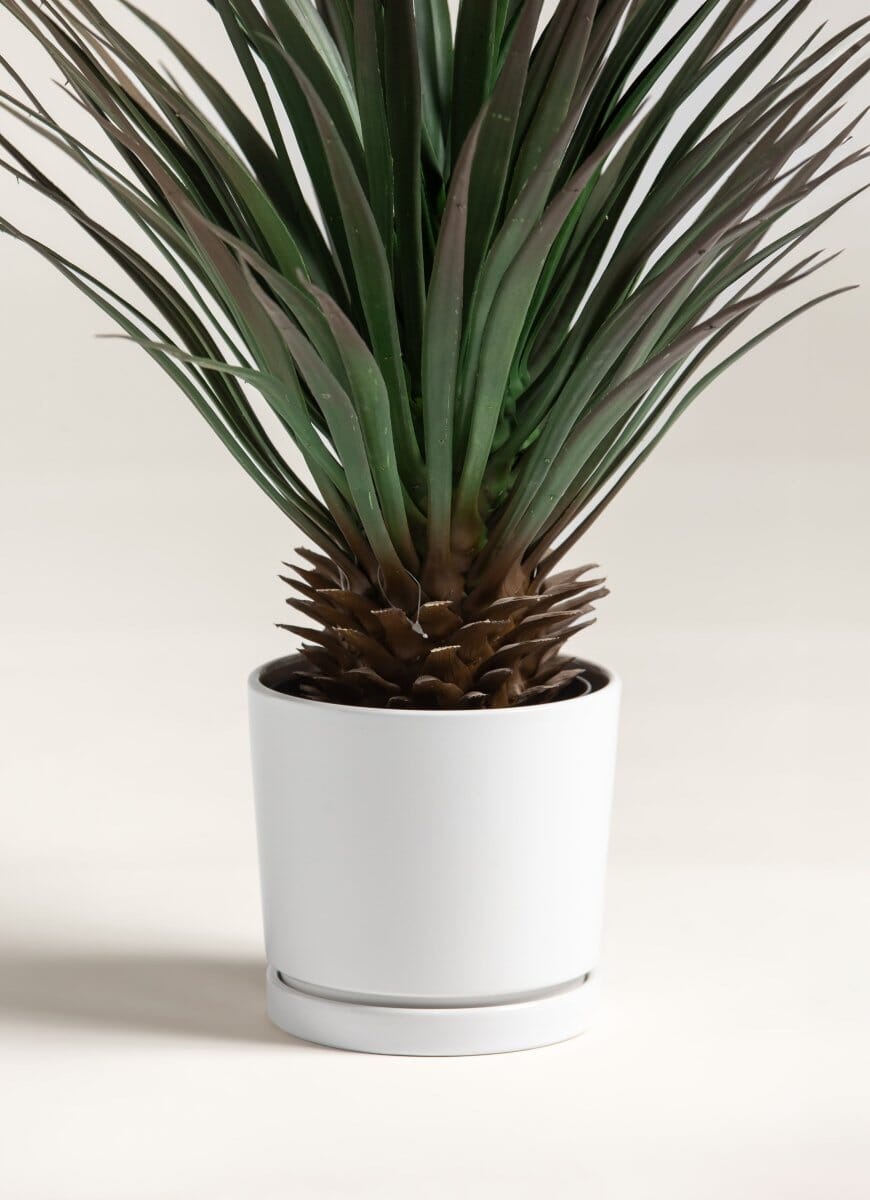 Yucca Gloriosa Artificial Plant (Pot not included) FLO 