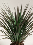 Yucca Gloriosa Artificial Plant (Pot not included) FLO 