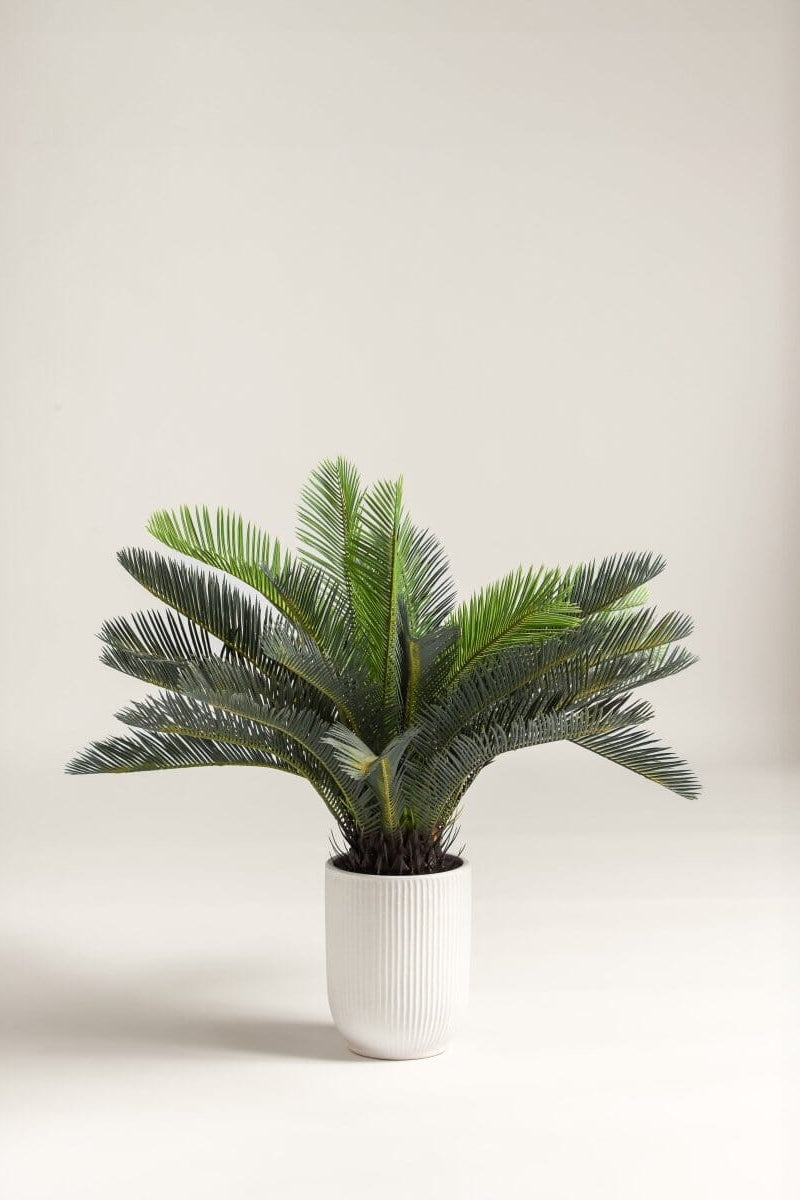 Cycas Revoluta Artificial Plant