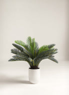 Cycas Revoluta Artificial Plant (Pot not included) FLO 