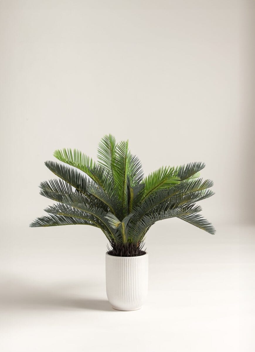 Cycas Revoluta Artificial Plant (Pot not included) FLO 