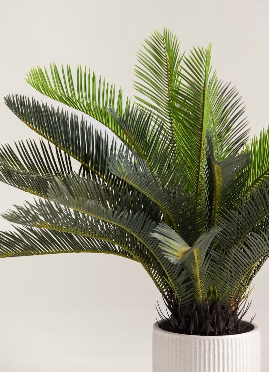 Cycas Revolutaificial Plant (Pot not included)