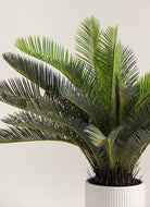 Cycas Revoluta Artificial Plant (Pot not included) FLO 