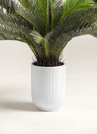 Cycas Revoluta Artificial Plant (Pot not included) FLO 