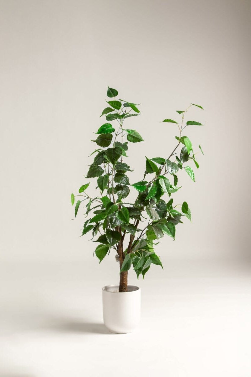 Mini Ficus Benjamina Artificial Plant