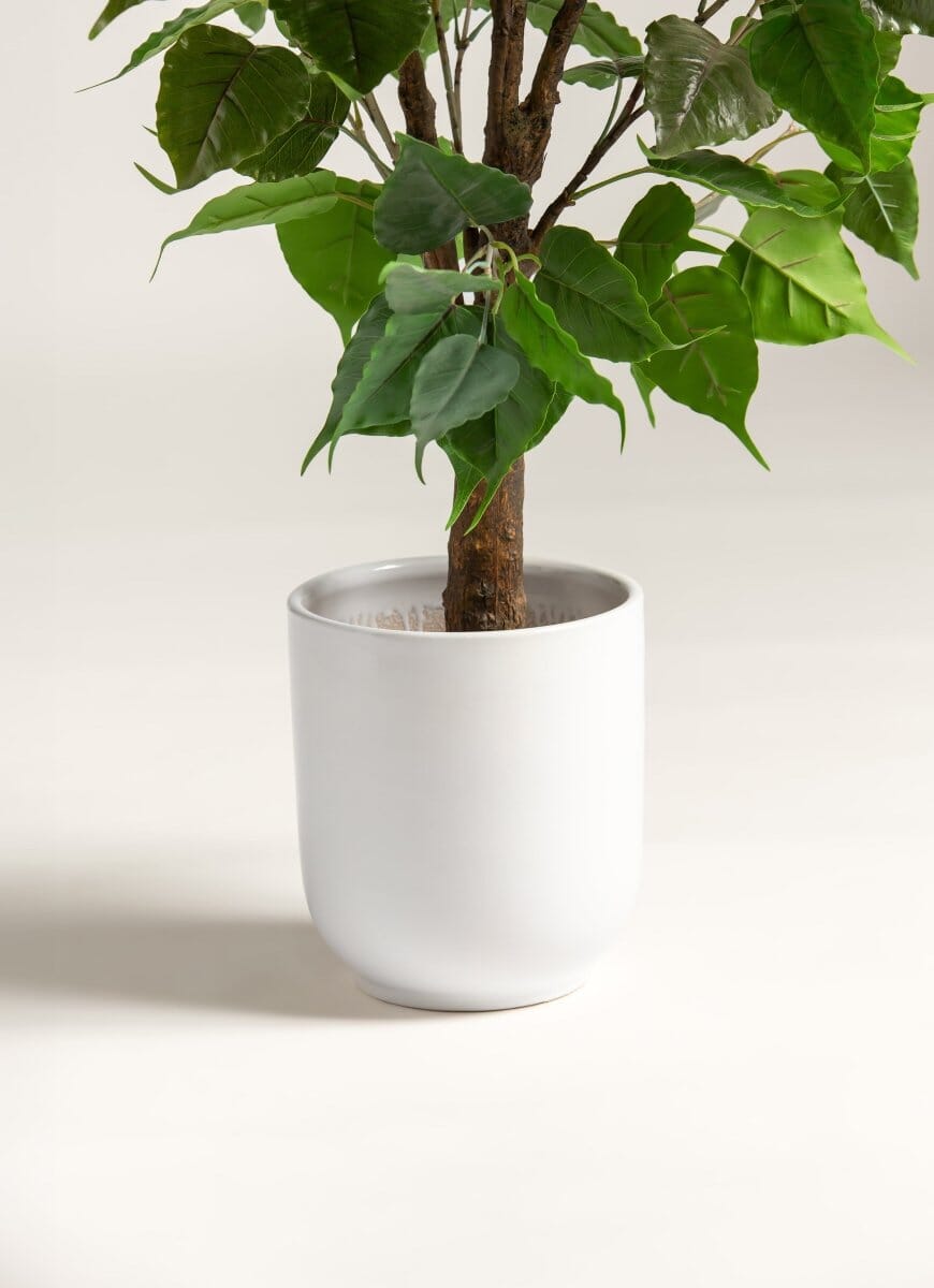 Mini Ficus Benjaminaificial Plant (Pot not included)