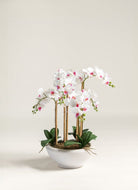 Phalaenopsis Orchid Artificial Plant FLO 