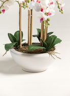 Phalaenopsis Orchid Artificial Plant FLO White 