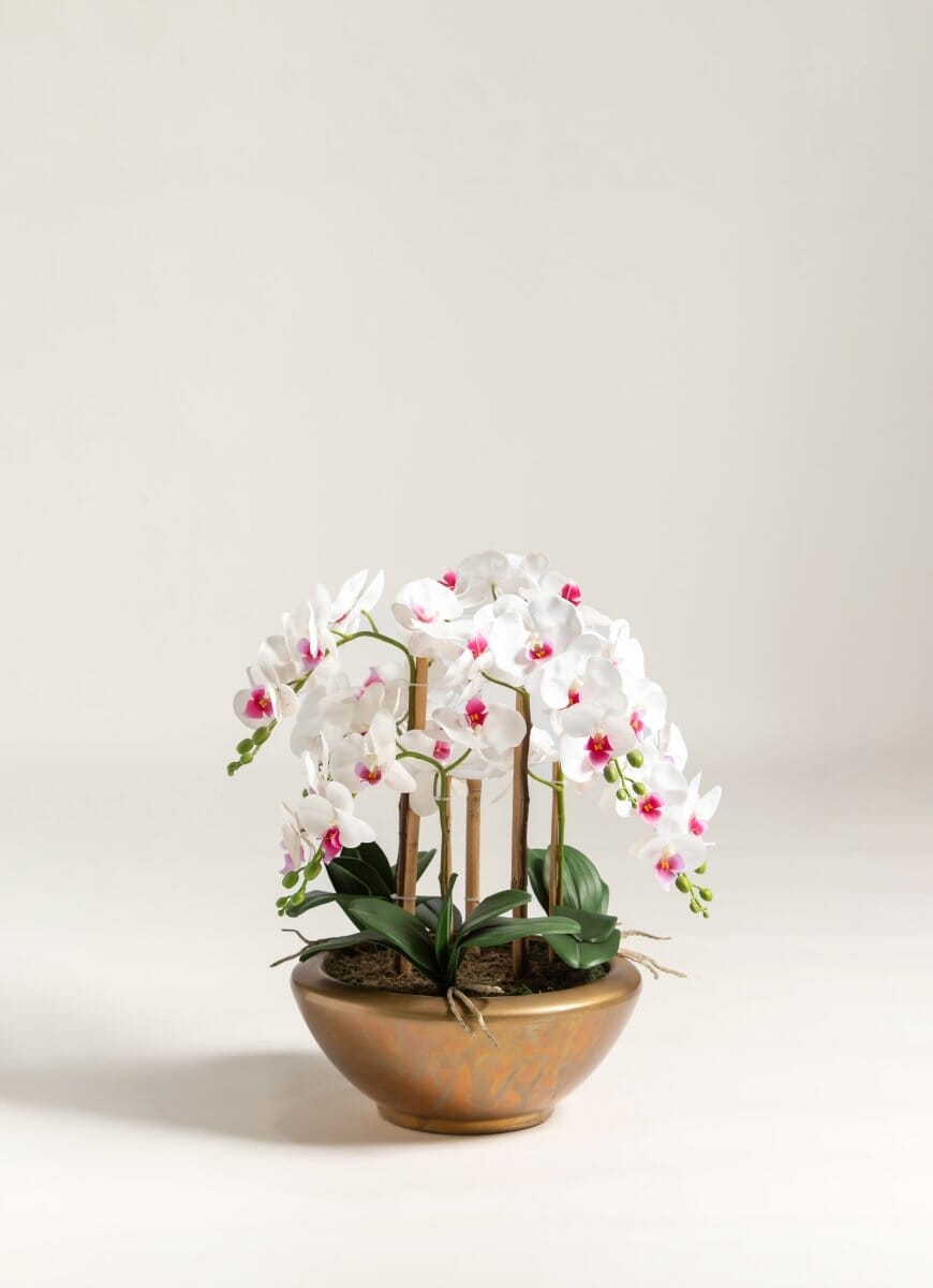 Phalaenopsis Orchid Artificial Plant FLO 