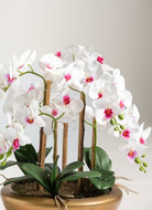 Phalaenopsis Orchid Artificial Plant FLO 