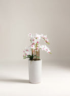 Orchidificial Plant100CM Length x 35CM Width 