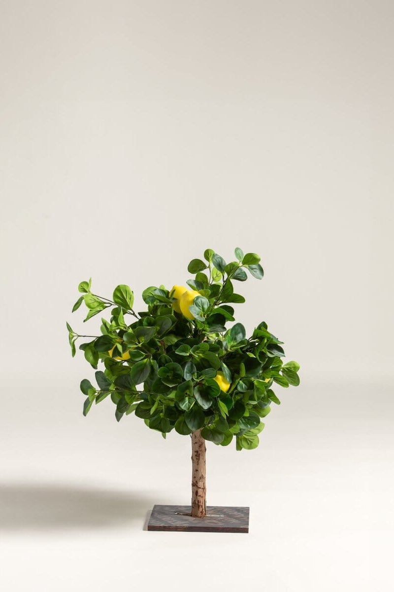 Citrus Limon Artificial Plant