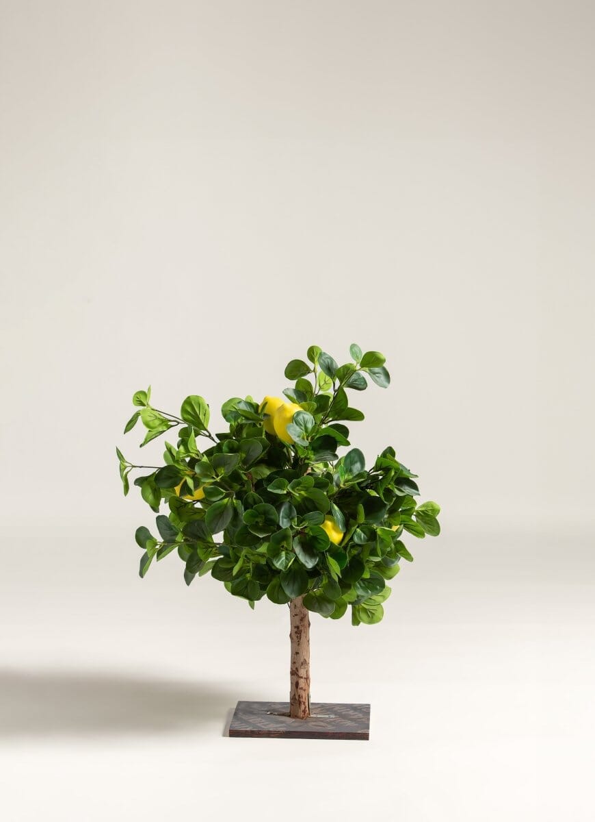 Citrus Limon Artificial Plant (3 Sizes)(Pot not included) FLO 