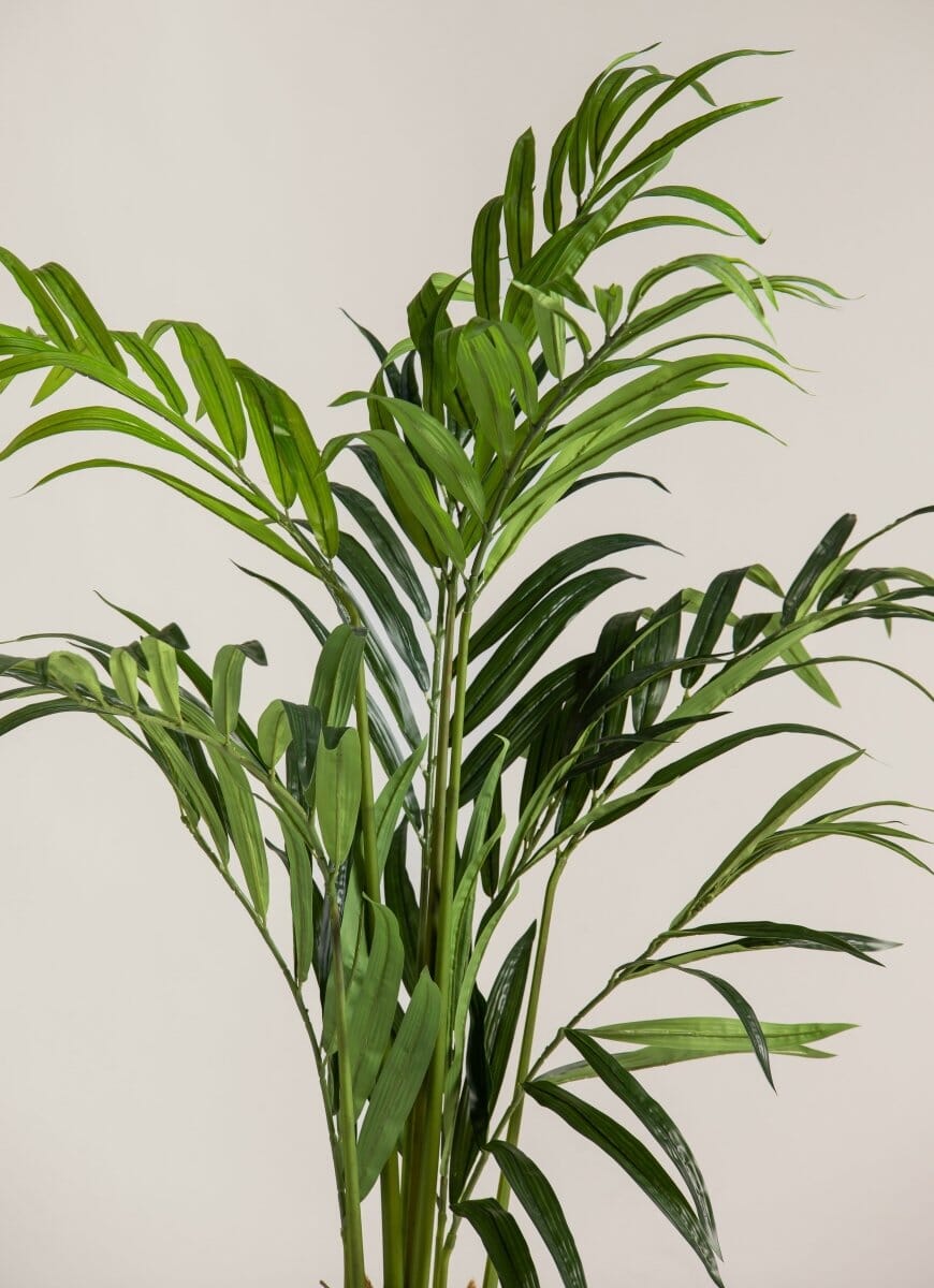 Kentia Palm Artificial Plant (Pot not included) FLO 