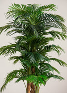 Areca Palm Artificial Plant (Pot not included) FLO 