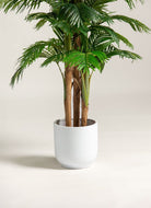 Areca Palm Artificial Plant (Pot not included) FLO 