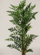 Dicksonia Antarctica Artificial Plant (Pot not included) FLO 