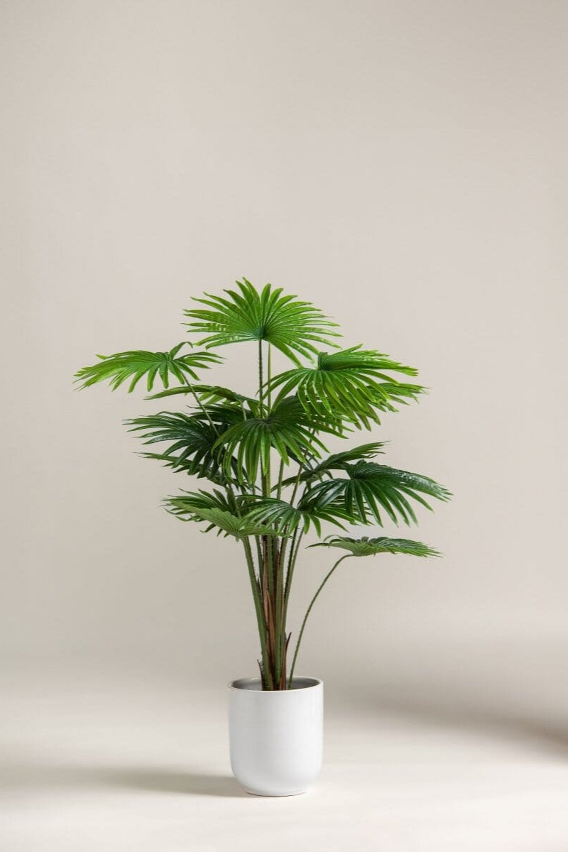 Rhapis Excelsa Artificial Plant