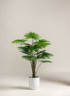 Rhapis Excelsa Artificial Plant (Pot not included) FLO 