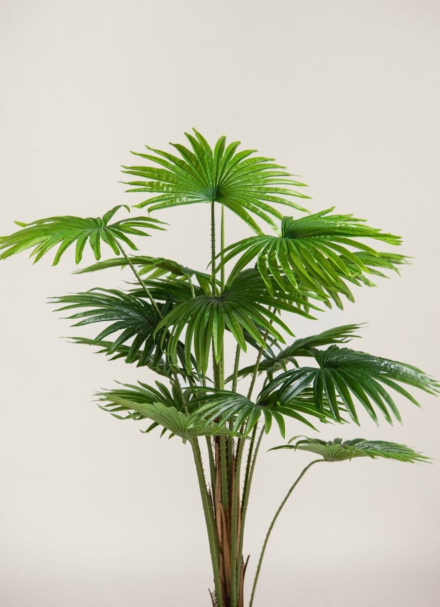 Rhapis Excelsa Artificial Plant (Pot not included) FLO 