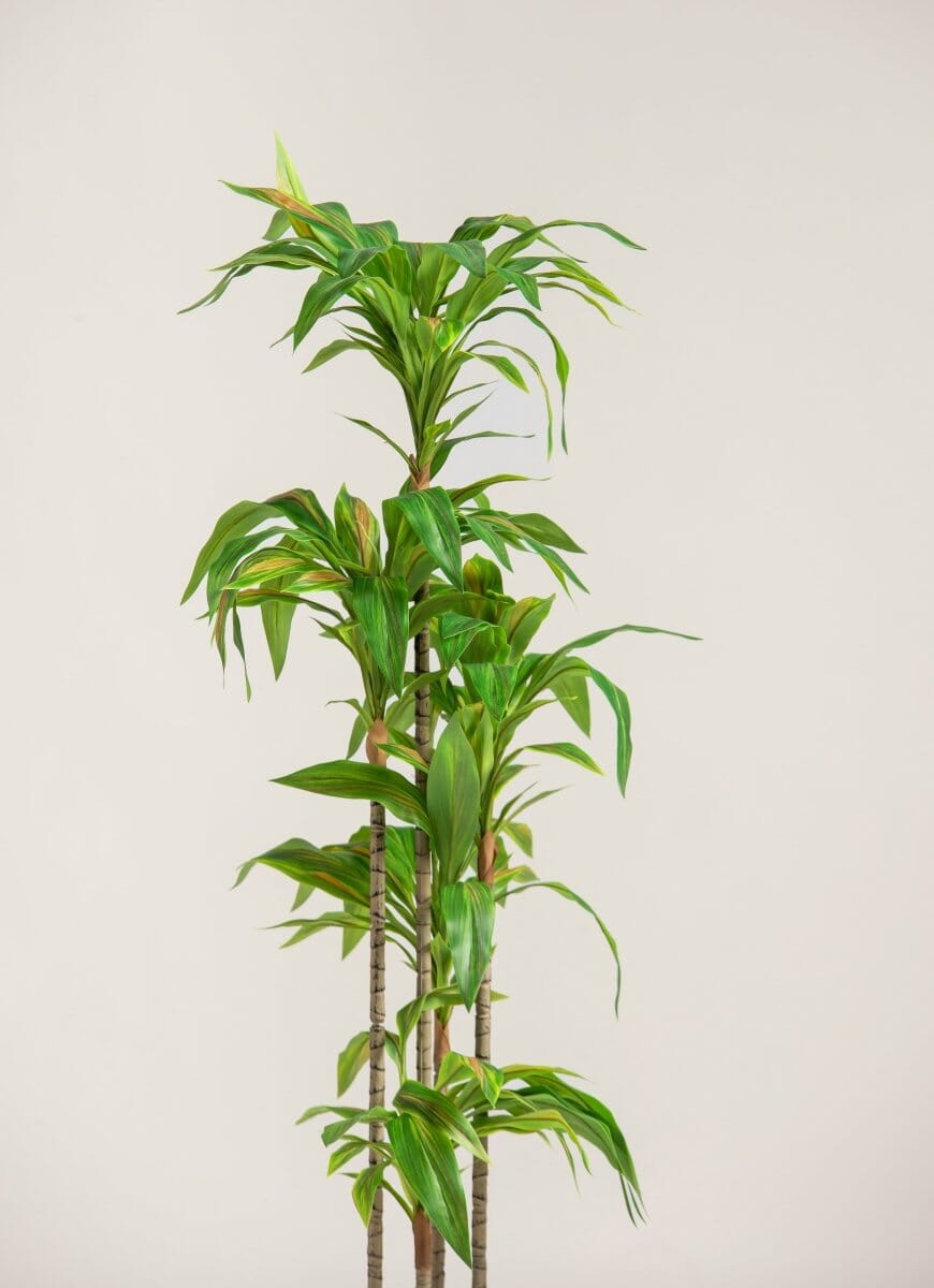 Dracaena Fragransificial Plant (Pot not included)