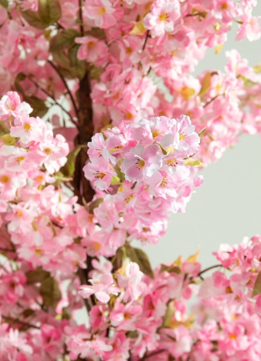 Pink Cherry Blossom Artificial Plant (Pot not included) FLO 