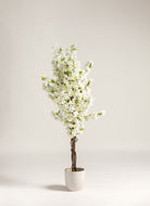 White Cherry Blossom Artificial Plant (Pot not included) FLO 