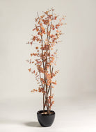 Eucalyptus Cinerea Artificial Plant (Pot not included) FLO 