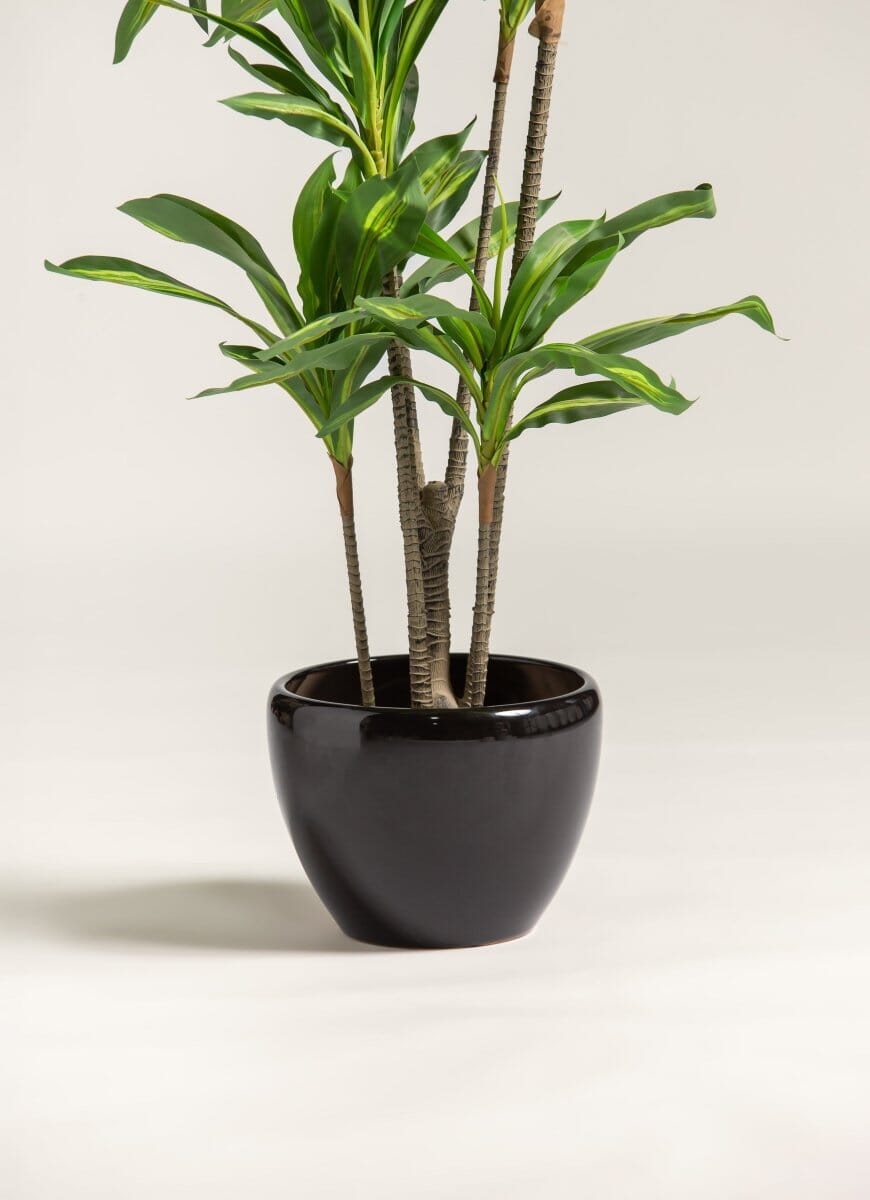 Dracaena Fragrans Artificial Plant II (Pot not included) FLO 