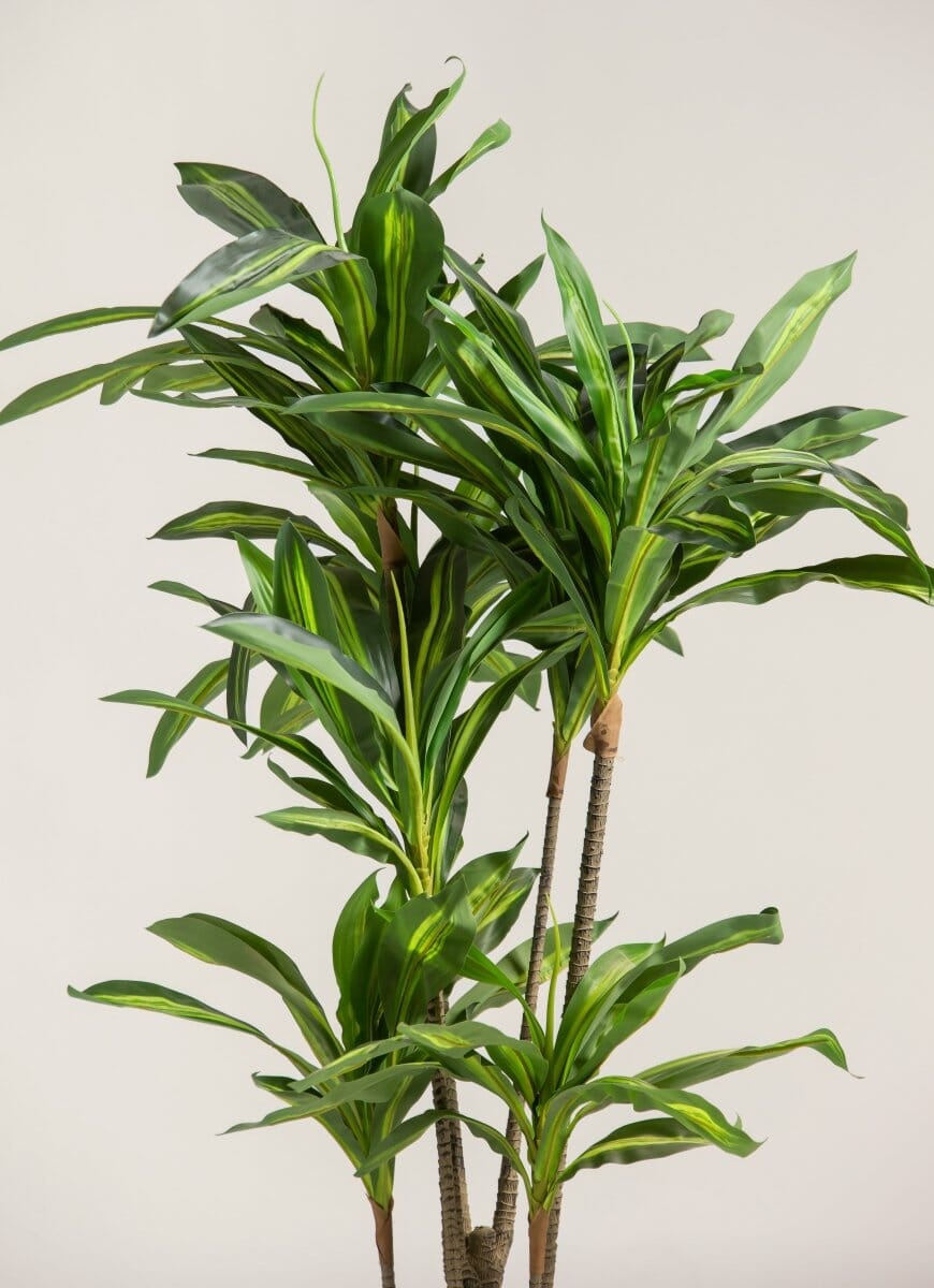 Dracaena Fragransificial Plant II (Pot not included)