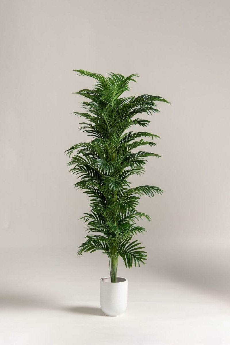 Kentia Palm Artificial Plant