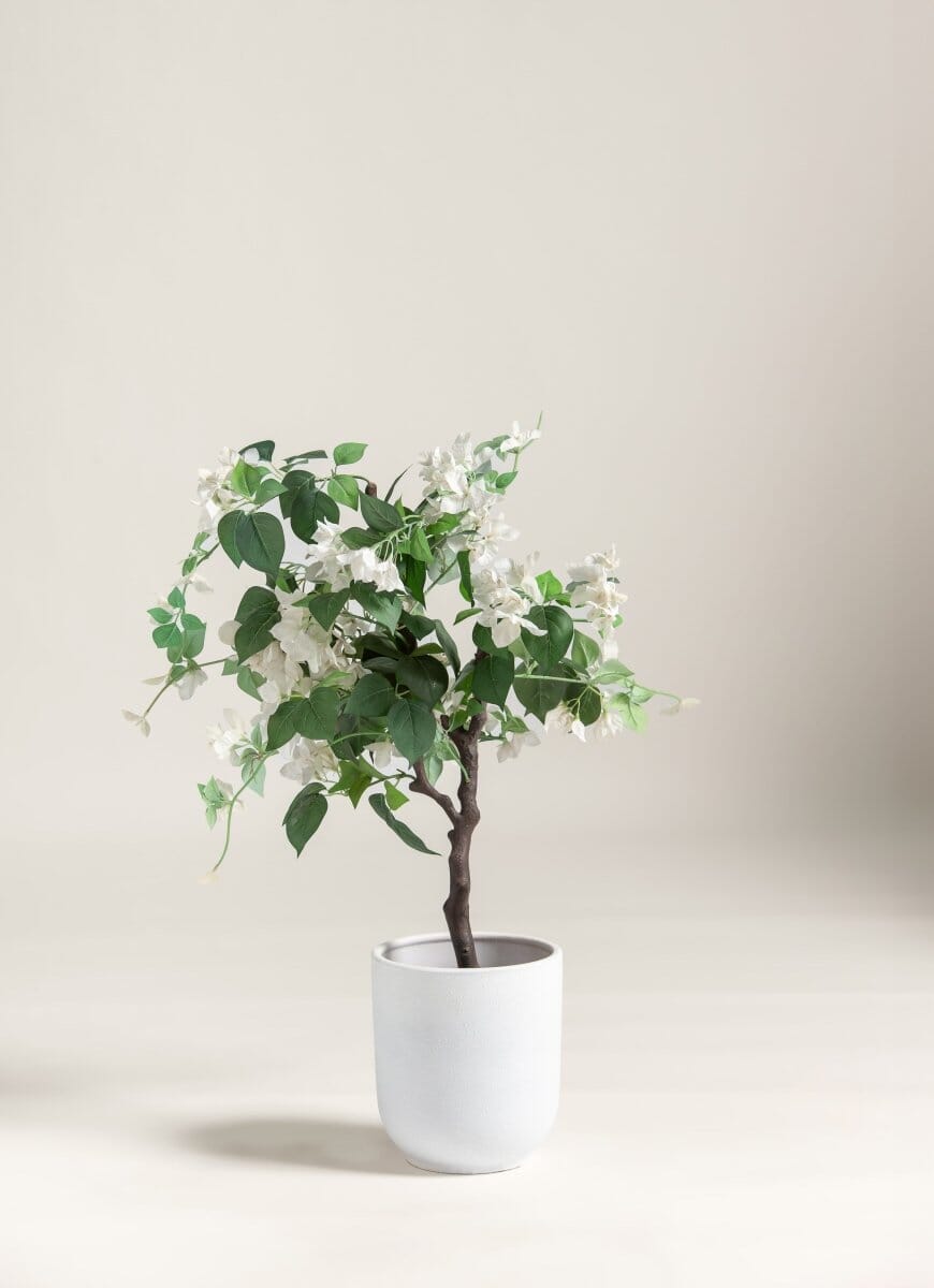 Bougainvillea Glabra Artificial Plant (Pot not included) FLO 