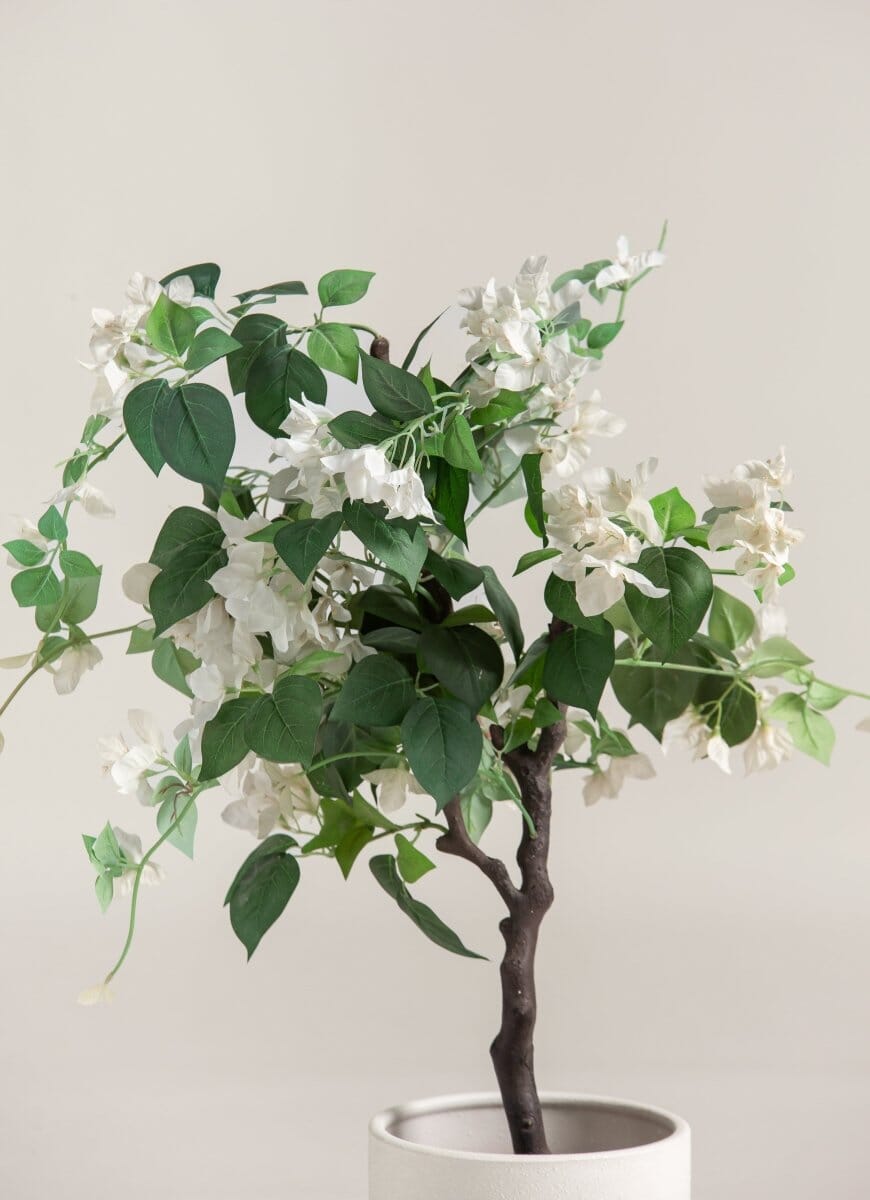 Bougainvillea Glabra Artificial Plant (Pot not included) FLO 