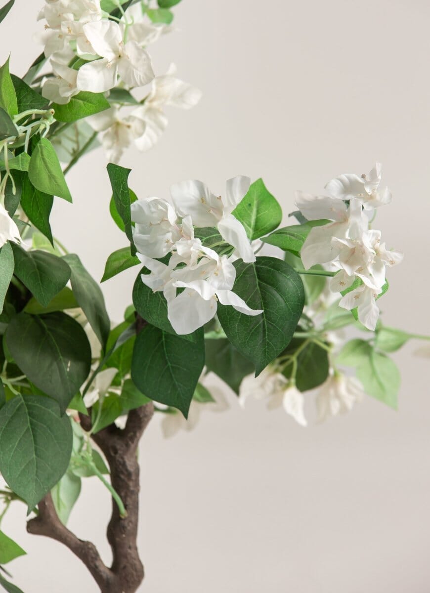 Bougainvillea Glabra Artificial Plant (Pot not included) FLO 