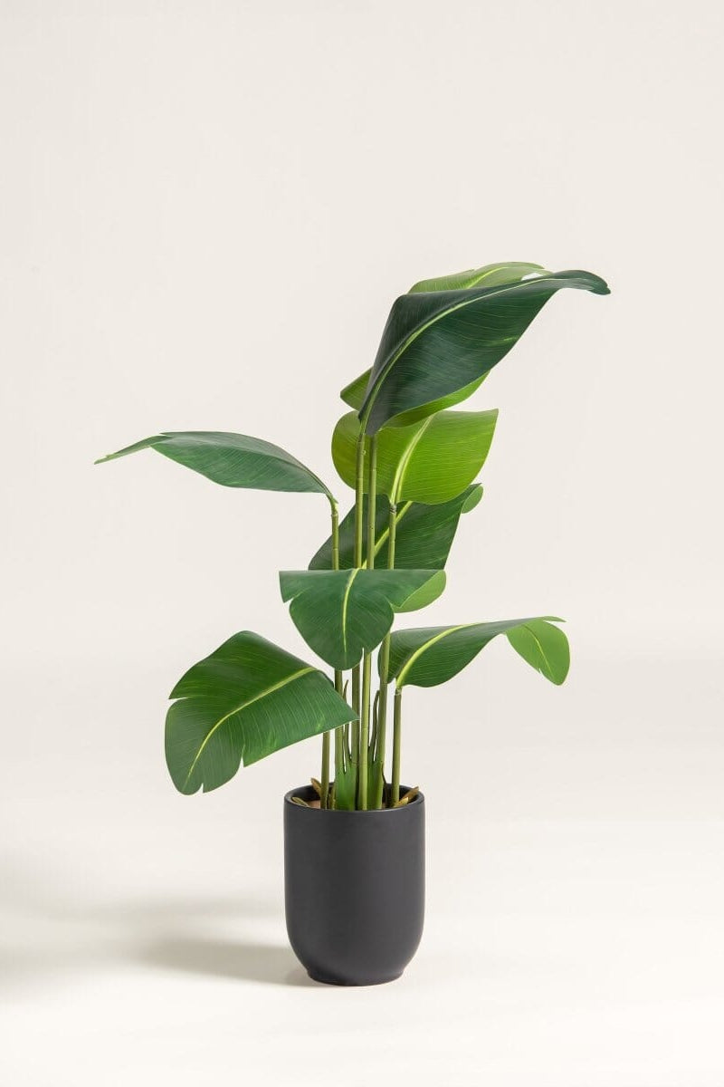 Strelitzia Nicolai Artificial Plant