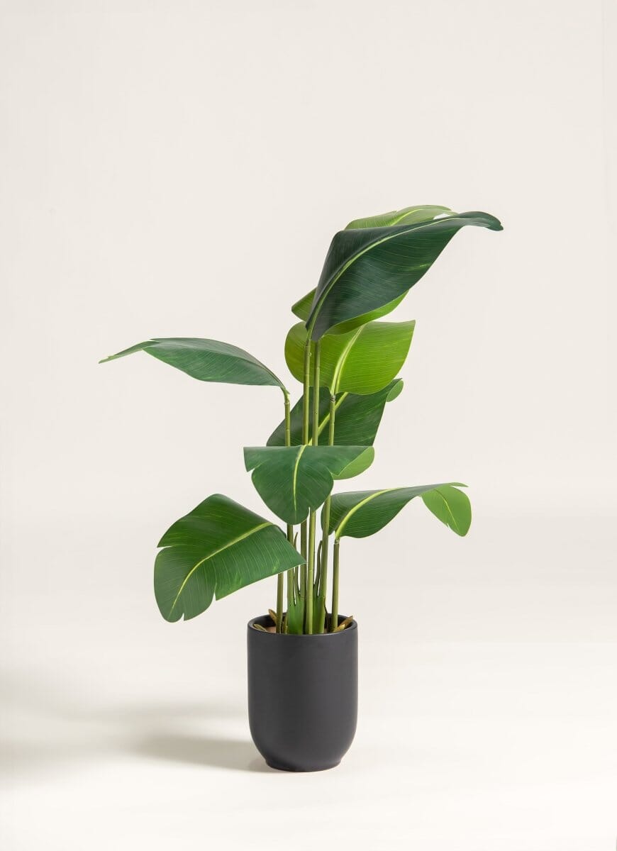 Strelitzia Nicolai Artificial Plant (4 Sizes)(Pot not included) FLO 