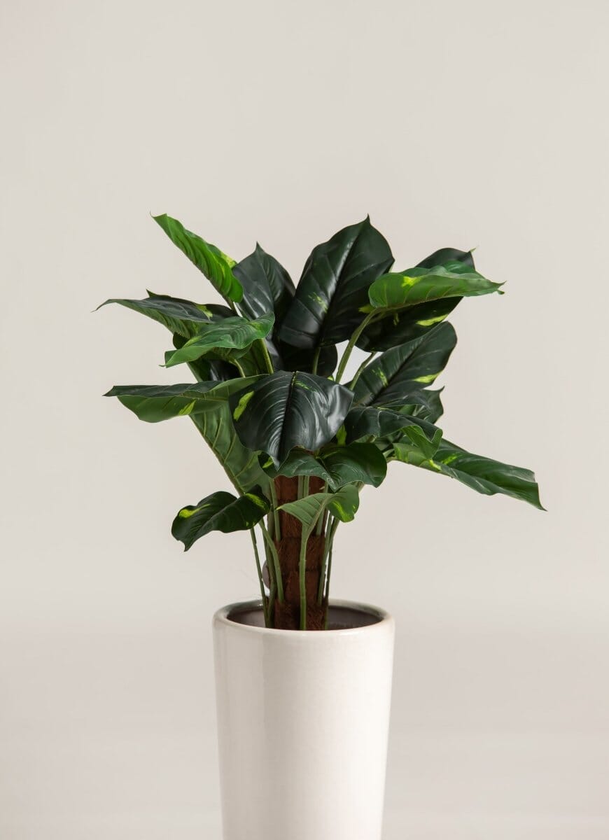 Alocasia Artificial Plant (Pot not included) FLO 