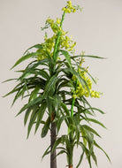 Dendrobium Orchidificial Plant (3 Sizes)(Pot not included)