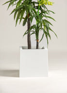 Dendrobium Orchid Artificial Plant (3 Sizes)(Pot not included) FLO 