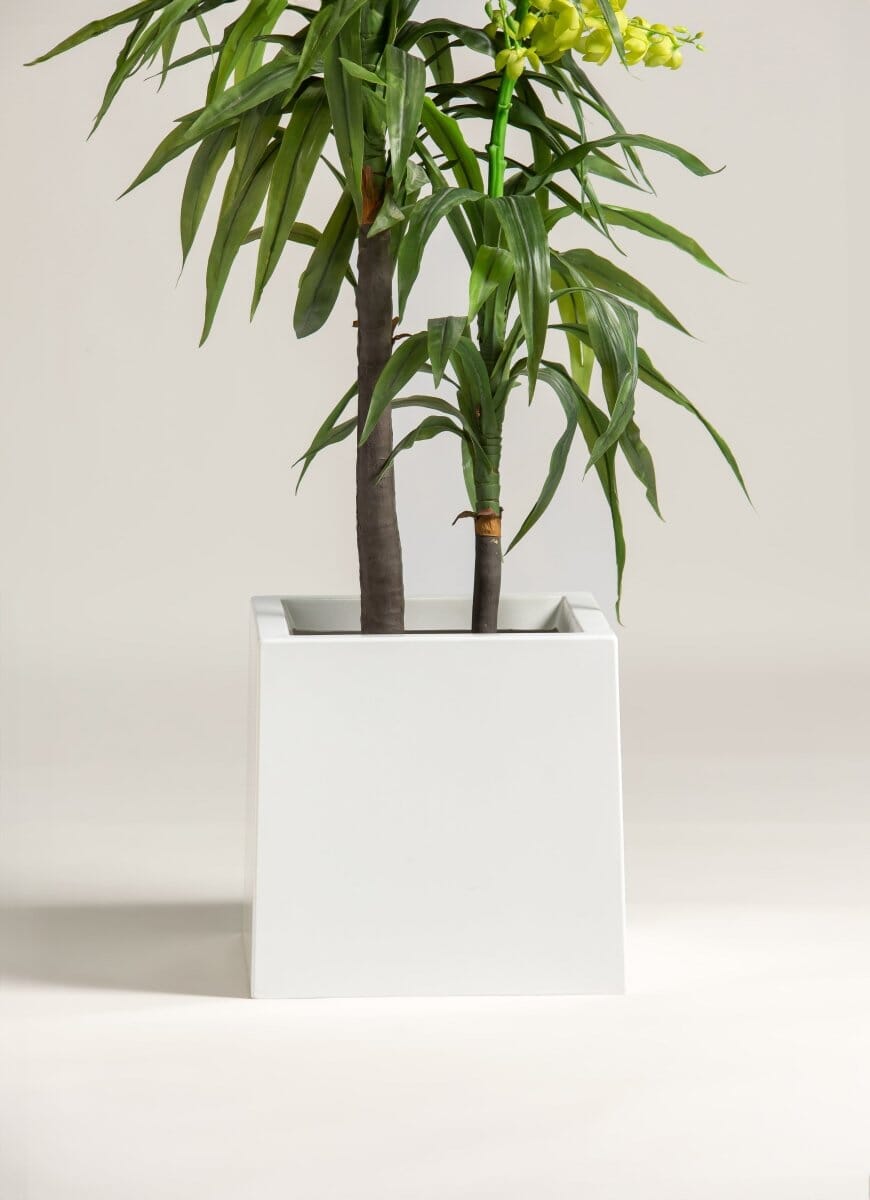 Dendrobium Orchid Artificial Plant (3 Sizes)(Pot not included) FLO 