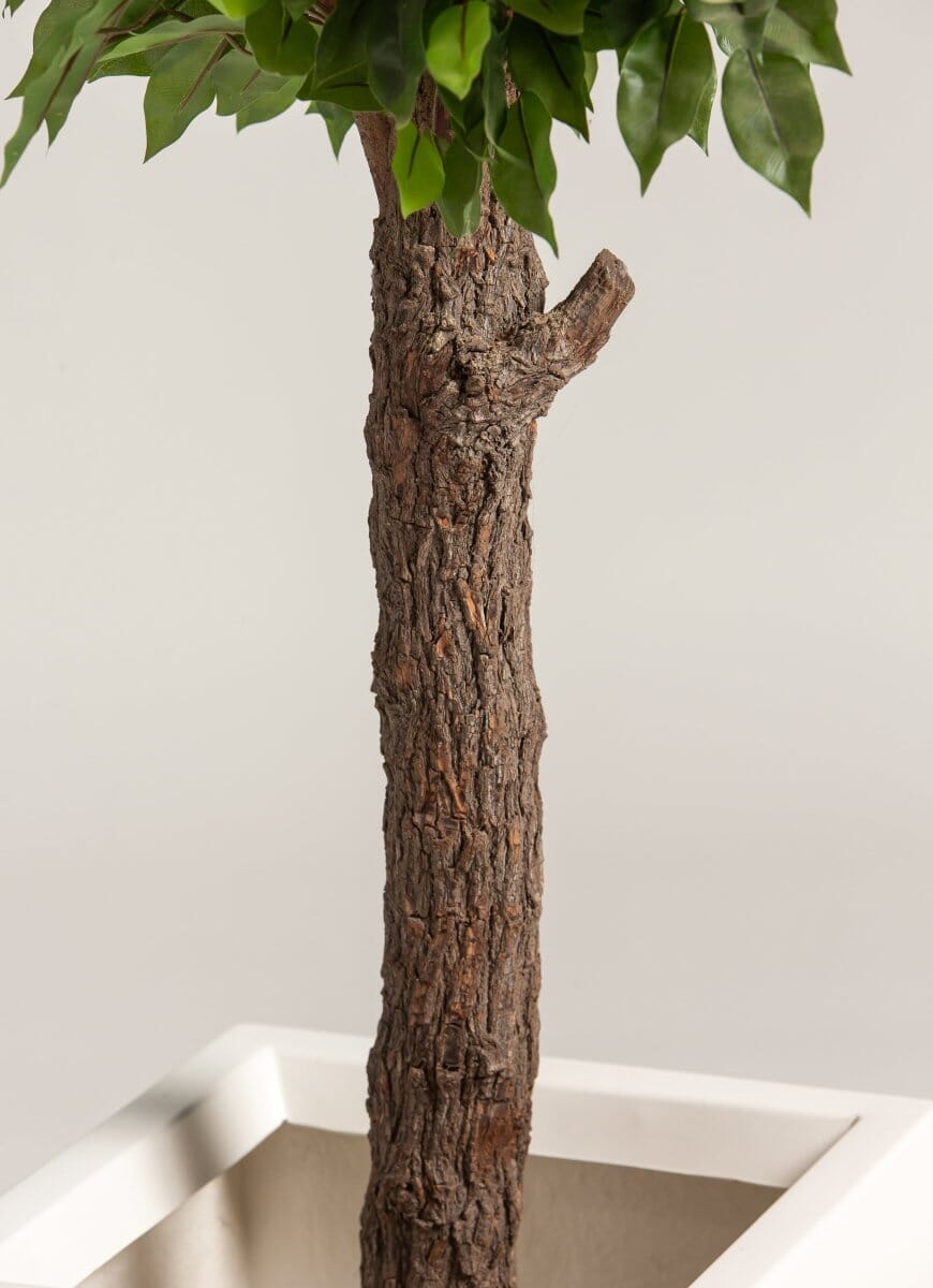 Ficusificial Tree With Natural Wood Trunk (3 Sizes)