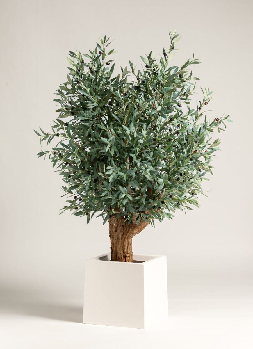 Olea Europaea Artificial Tree With Natural Wood Trunk (3 Sizes) FLO 