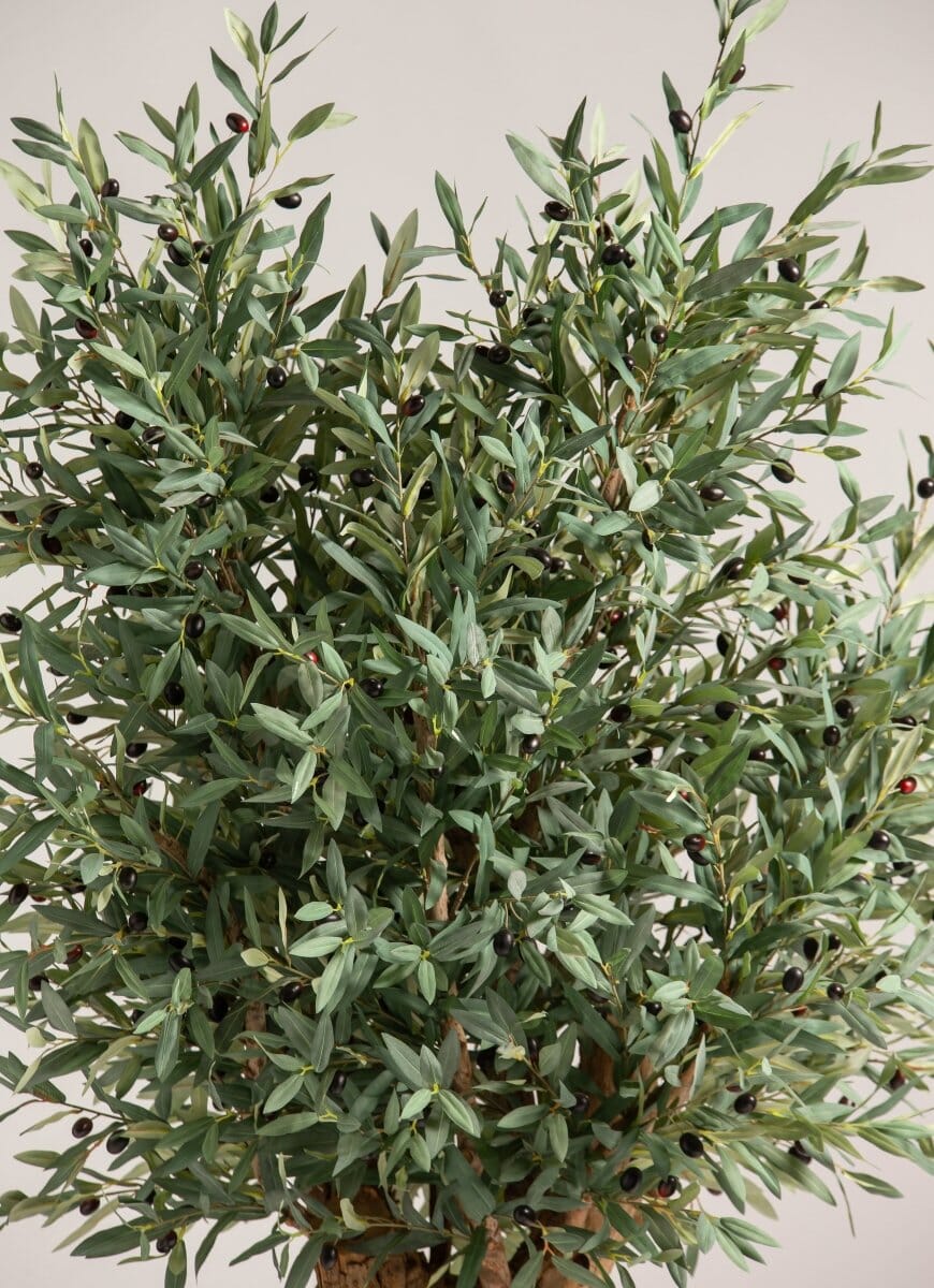 Olea Europaeaificial Tree With Natural Wood Trunk (3 Sizes)