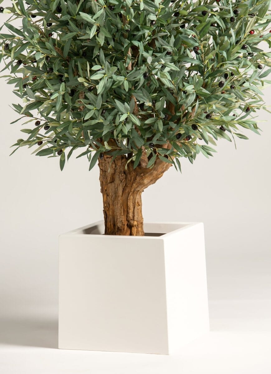 Olea Europaea Artificial Tree With Natural Wood Trunk (3 Sizes) FLO 