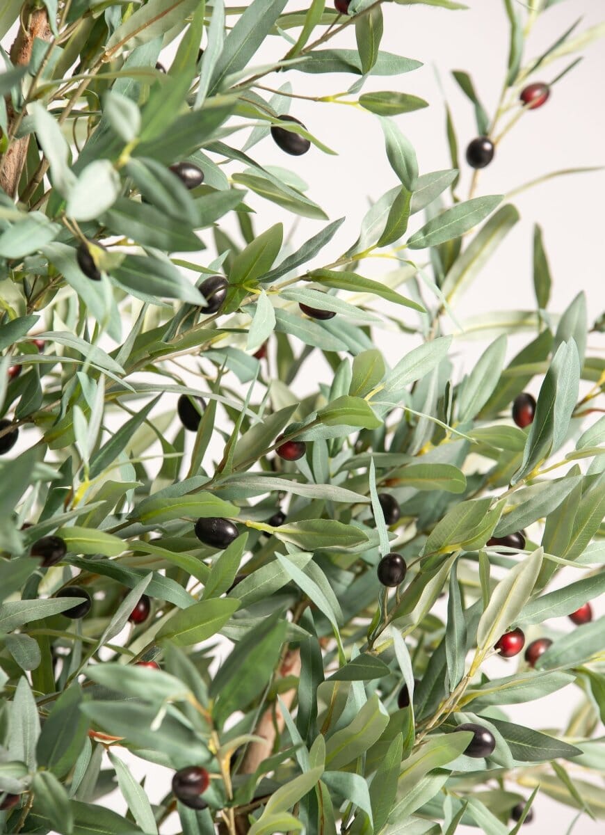 Olea Europaeaificial Tree With Natural Wood Trunk (3 Sizes)