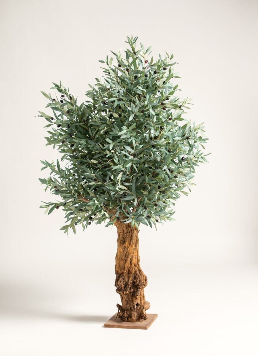 Olea Europaea Artificial Tree With Natural Wood Trunk (3 Sizes) FLO 