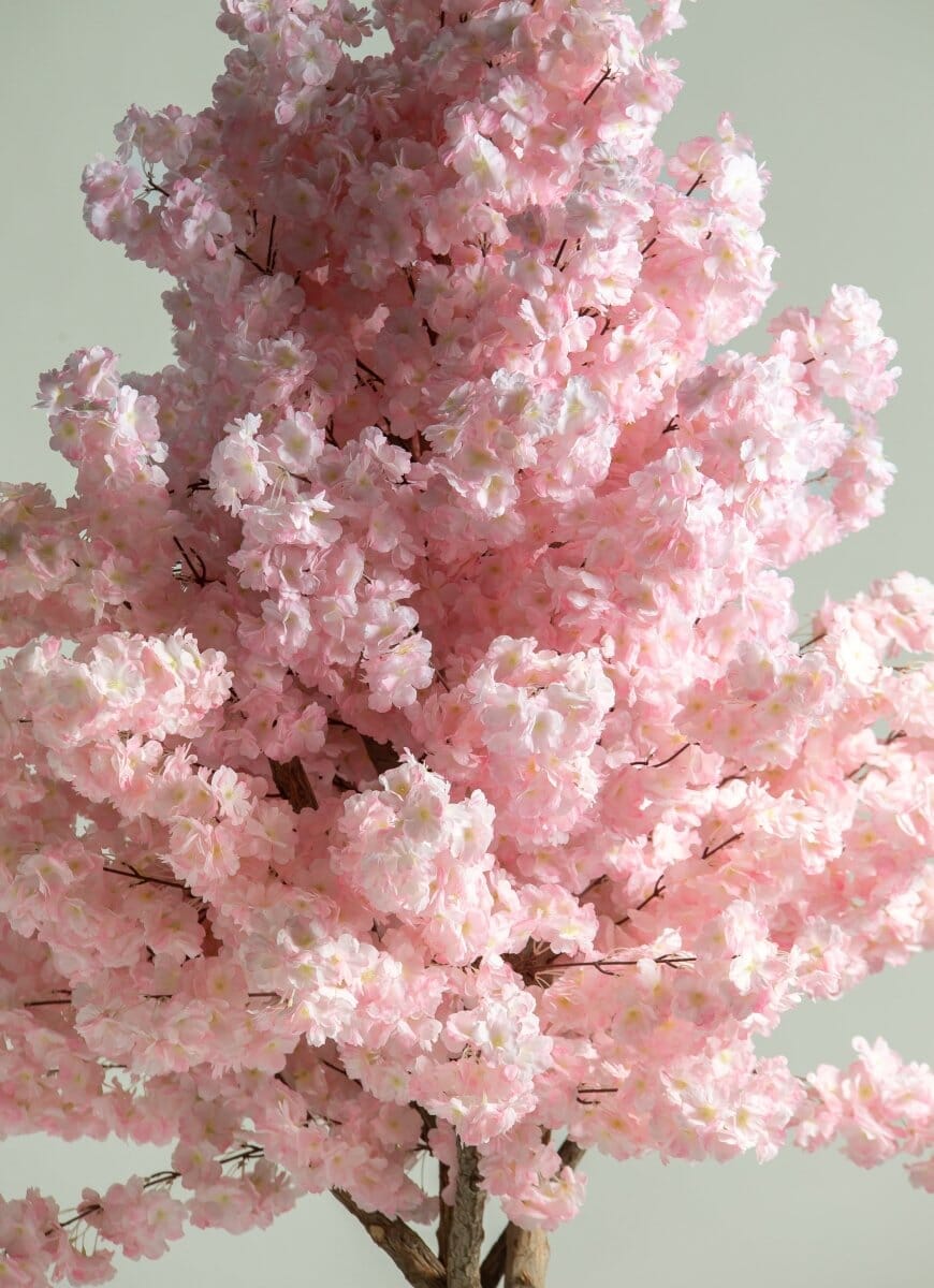 Pink Cherry Blossom Tree With Natural Wood Trunk (3 Sizes) FLO 