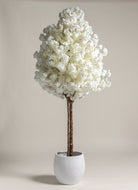 White Cherry Blossom Tree With Natural Wood Trunk (3 Sizes) FLO 